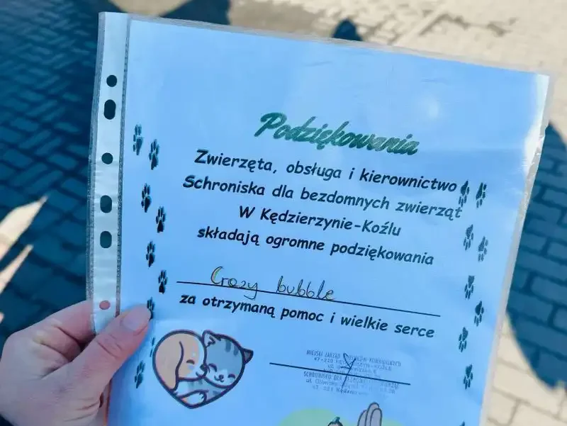 bubble-tea-crazy-bubble-schronisko-dla-zwierzat-02